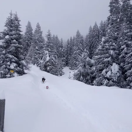 Daire Garten By Interhome *