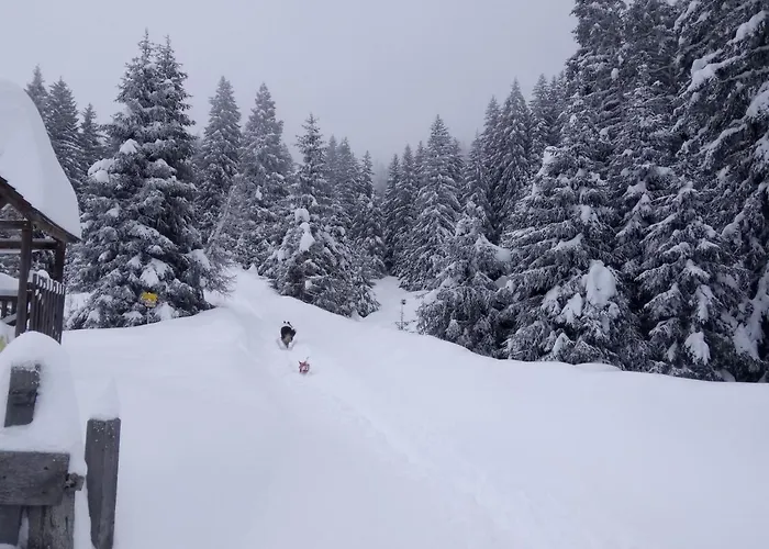 公寓 Garten By Interhome *